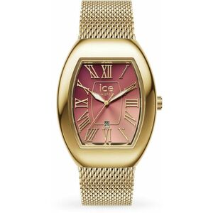 Ice Watch Ice Watch Ice-Boliday Dome 024488 kép