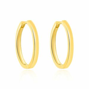 Agato Agato Aranyozott karika fülbevaló AGT-E251K-GOLD kép