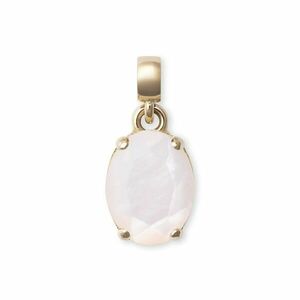Daniel Wellington Daniel Wellington Bájos aranyozott medál gyöngyházzal Mother of Pearl DW00401461 kép