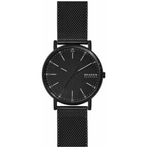 Skagen Skagen Signature SKW6579 kép