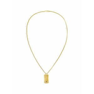 Tommy Hilfiger Tommy Hilfiger Aranyozott férfi nyaklánc dögcédulával Jameson 2790628 kép