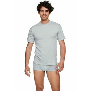 Férfi póló 19407 T-line grey kép