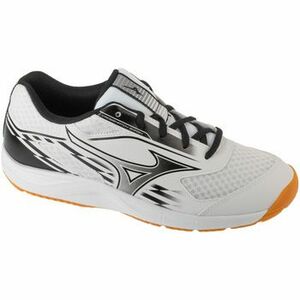 Fitnesz Mizuno Crossmatch Smash Table Tennis kép