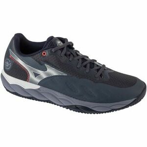 Fitnesz Mizuno Wave Enforce Court CC Tennis kép