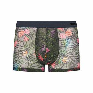 HOM Boxerek Exotica 402956 Színes kép