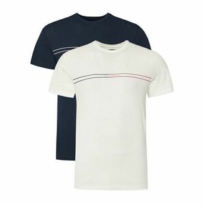 Tommy Jeans 2 póló készlet Entry Graphic DM0DM21902 Színes Slim Fit kép