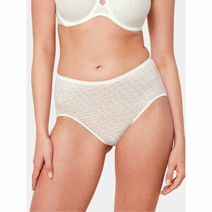 Triumph Klasszikus magas derekú alsó Signature Sheer Maxi EX 10215936 Ekru kép