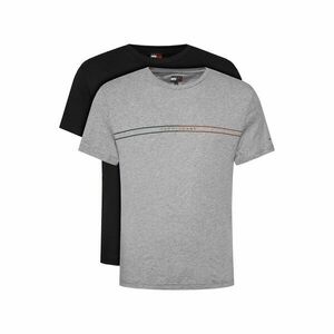Tommy Jeans 2 póló készlet Entry Graphic DM0DM21902 Színes Slim Fit kép