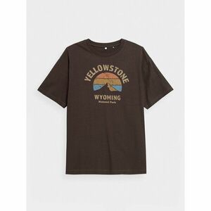 Outhorn Póló OTHAW23TTSHM0940 Barna Regular Fit kép
