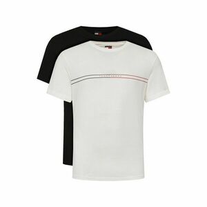 Tommy Jeans 2 póló készlet Entry Graphic DM0DM21902 Színes Slim Fit kép