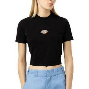 Rövid ujjú pólók Dickies MAPLE VALLEY TEE BLACK kép
