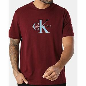 Rövid ujjú pólók Calvin Klein Jeans LV04RB862G kép