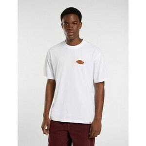 Rövid ujjú pólók Dickies Graysville tee ss kép