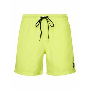 Úszónadrág Quiksilver kép