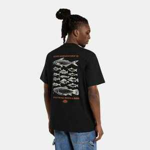 Pólók / Galléros Pólók Dickies Laryville tee ss kép