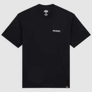 Rövid ujjú pólók Dickies Burns tee ss kép