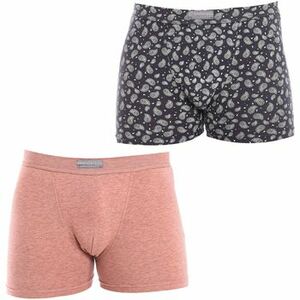Boxerek Abanderado A5378-1QD kép
