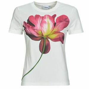 Rövid ujjú pólók Desigual PLATA kép