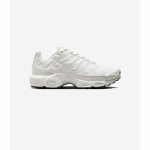 Divat edzőcipők Nike Air Max Plus Platinum Tint (Women's) kép