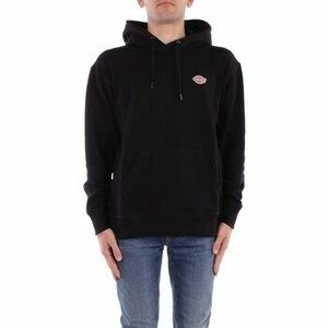 Pulóverek Dickies DK0A4YLY kép