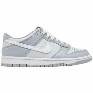 Divat edzőcipők Nike Dunk Low Two-Toned Grey (GS) kép