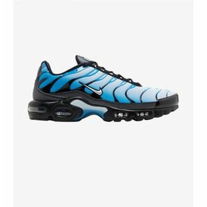 Divat edzőcipők Nike Air Max Plus TN Blue Gradient kép