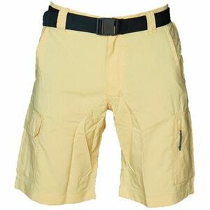 Rövidnadrágok Columbia Silver Ridge Utility Cargo Shorts kép