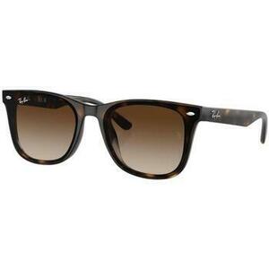 Napszemüveg Ray-Ban Barna Ray-Ban kép