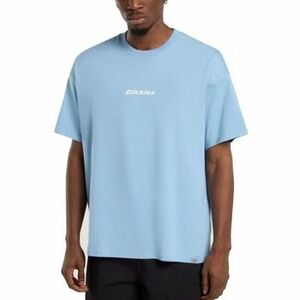 Rövid ujjú pólók Dickies ENTERPRISE kép