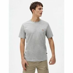 Rövid ujjú pólók Dickies SS MAPLETON kép