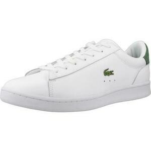 Divat edzőcipők Lacoste CARNABY SET kép
