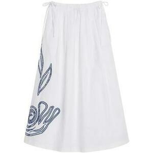 Szoknyák Desigual SKIRT EMBRO 25WWFWX0 kép