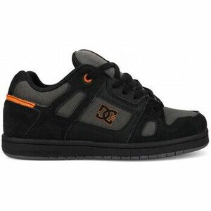 Deszkás cipők DC Shoes Stag youth kép