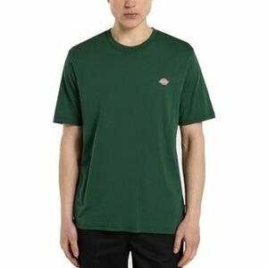 Rövid ujjú pólók Dickies MAPLETON SS TEE kép