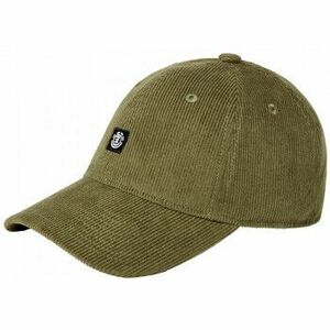 Baseball sapkák Element Icon dad cord kép