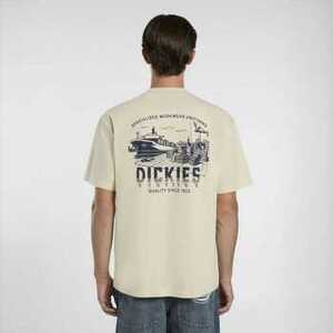 Rövid ujjú pólók Dickies Pelham tee ss kép