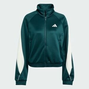 Pulóverek adidas W STADIUM TT kép