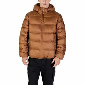 Steppelt kabátok Tommy Hilfiger TJM HOODED LOGO PUFF DM0DM22044 kép