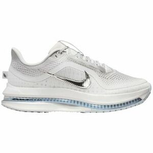 Rövid szárú edzőcipők Nike Air Zoom Pegasus Premium Vast Grey (Women's) kép