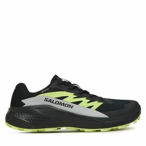 Futócipő Salomon Alphaglide GORE-TEX L47802000 Fekete kép