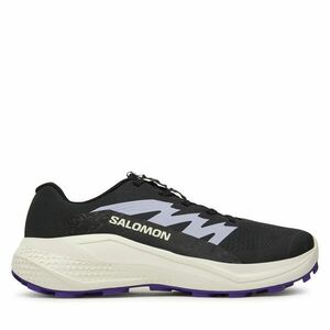 Futócipő Salomon Alphaglide L47801800 Szürke kép