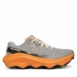 Futócipő Salomon Ultra Flow 2 Gore-Tex L47884200 Szürke kép