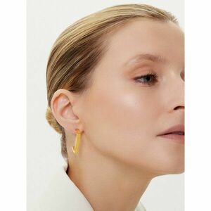 Fülbevaló Elisabetta Franchi OR-03K-56E2-V150 Arany kép