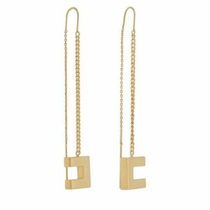 Fülbevaló Elisabetta Franchi OR-16A-56E2-V170 Arany kép