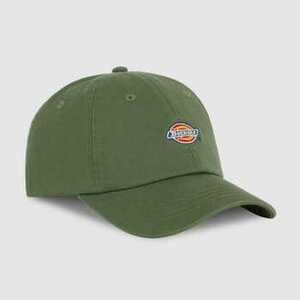 Baseball sapkák Dickies Hardwick kép