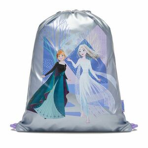 Hátizsák Frozen CEO-ACCCS-AW25-201DFR Ezüst kép