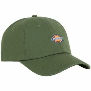 Baseball sapkák Dickies HARDWICK kép