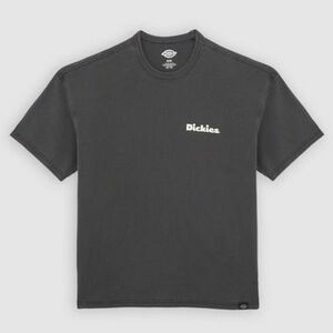 Dickies - Poló kép