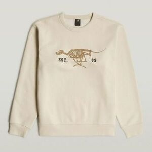 Pulóverek G-Star Raw RUNNING DOG BACK GR R S kép