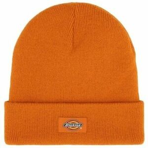 Sapkák Dickies GIBSLAND BEANIE kép